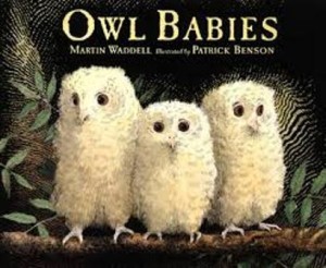 owl babies